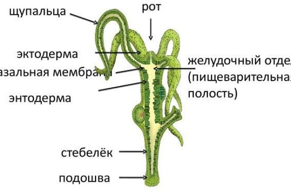 Mega sb зеркало сайта работающее