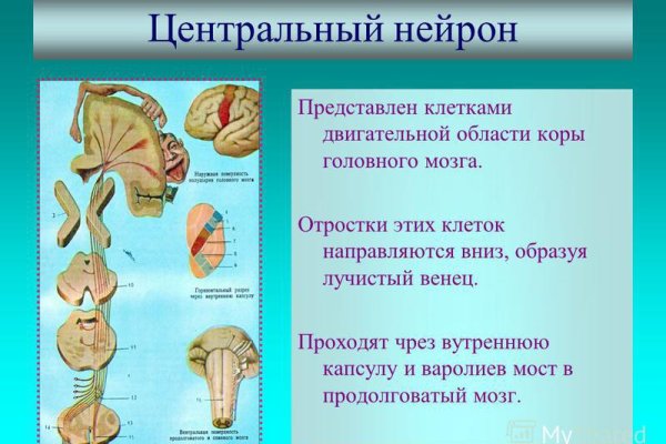 Mega ссылка не открывается